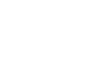 ontime courier
